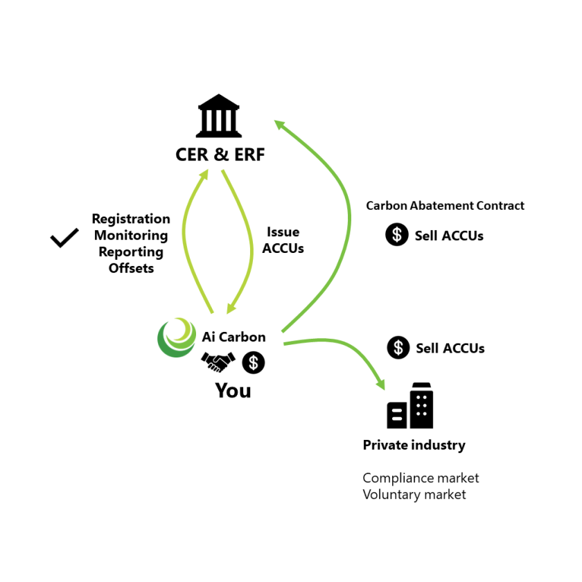 Carbon markets Australian Integrated Carbon